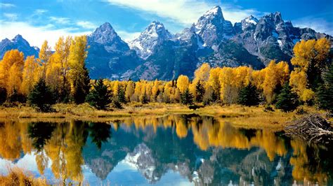 xfree hd|1080p Video Full Download .
